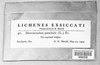 Image Associated With the Occurence